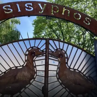 Lineup dla Friday 24 May 2024 Until Monday