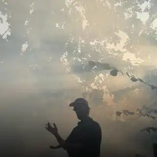 Set for Mystic Creatures festival 2024 uploaded to SoundCloud last year