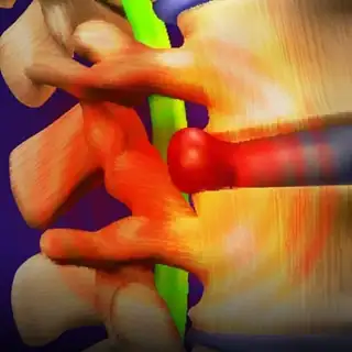 Lineup dla Georgie‘s Endendaans