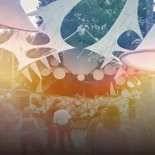 Line‑up für Zurück zu den Wurzeln 2025