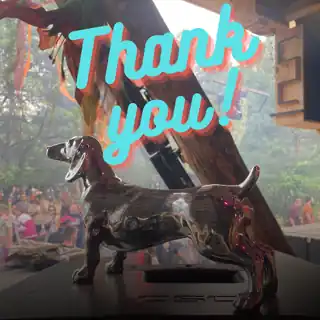 Set dla Zurück zu den Wurzeln festival 2025 przesłany na SoundCloud 11 miesięcy temu temu