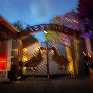 Lineup dla Enternal Summer