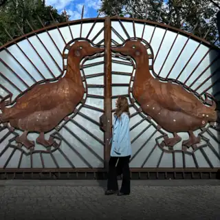 Lineup dla Heiter Weiter