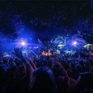 Set für Mystic Creatures festival 2025 vor vor 7 Monaten auf SoundCloud hochgeladen