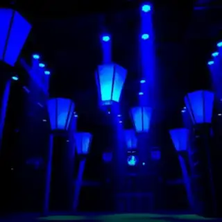 Lineup dla Dia De Muertos