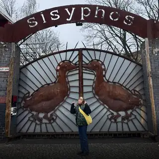 Lineup dla Lauter Unsinn