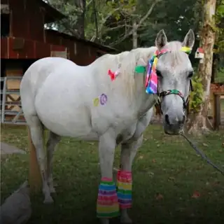 Set dla Sisyphos Die Legendäre Homeparty przesłany na SoundCloud 12 dni temu temu