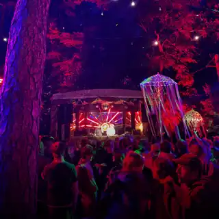 Set for Zurück zu den Wurzeln festival 2026 uploaded to SoundCloud 6 days ago
