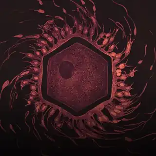 Set for Fusion festival 2026 uploaded to SoundCloud 10 days ago
