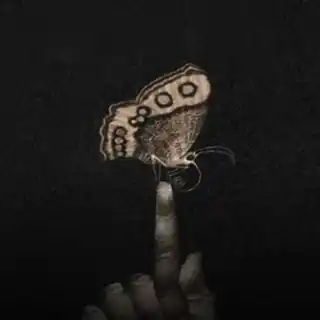 🔴 Tummetott & DirdyGerdi