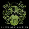 Profil d’artiste de Under Destruction