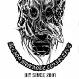 Accion Mutante DIY Collective since 2001 artist profile