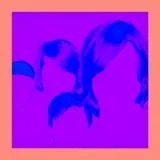 Schrottgrenze artist profile