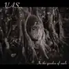 Vas artist profile