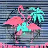 Walls & Birds artist profile