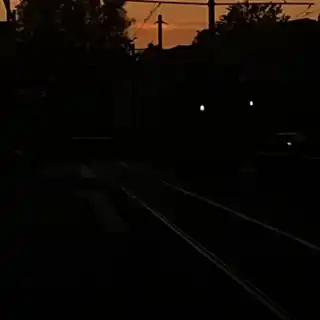 Enzo Enzo