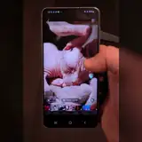 YouTube for Kaput Krauts