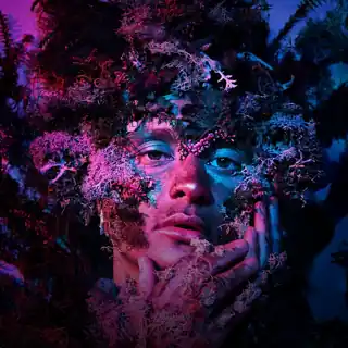 Artificialice Artificialice