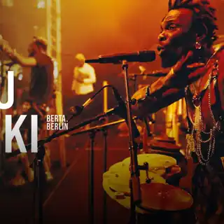 Fulu Miziki