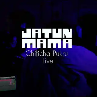 Neguan b2b JATUN MAMA