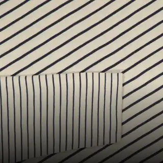 🔴 Zebra Centauri